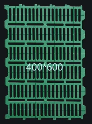 Дуңгыз идән идән